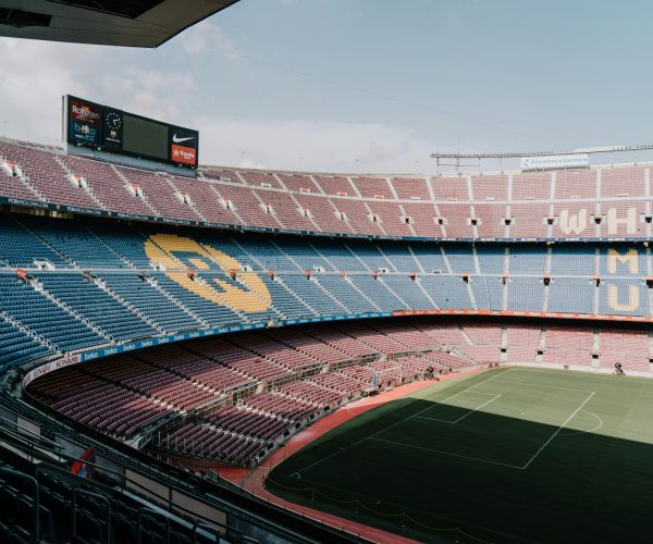 pexels-dmitrytomashek-18420917